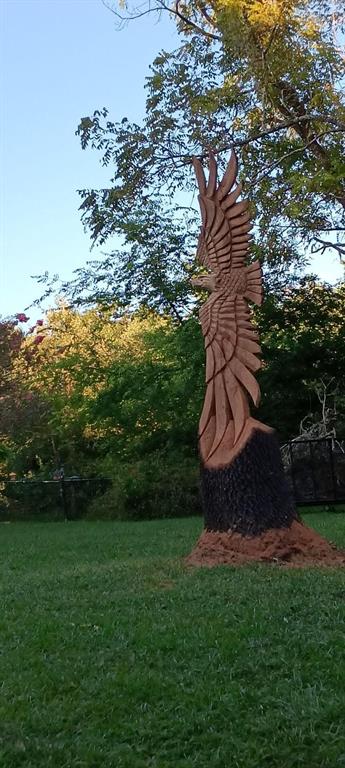 Holly Lake Ranch - Residential