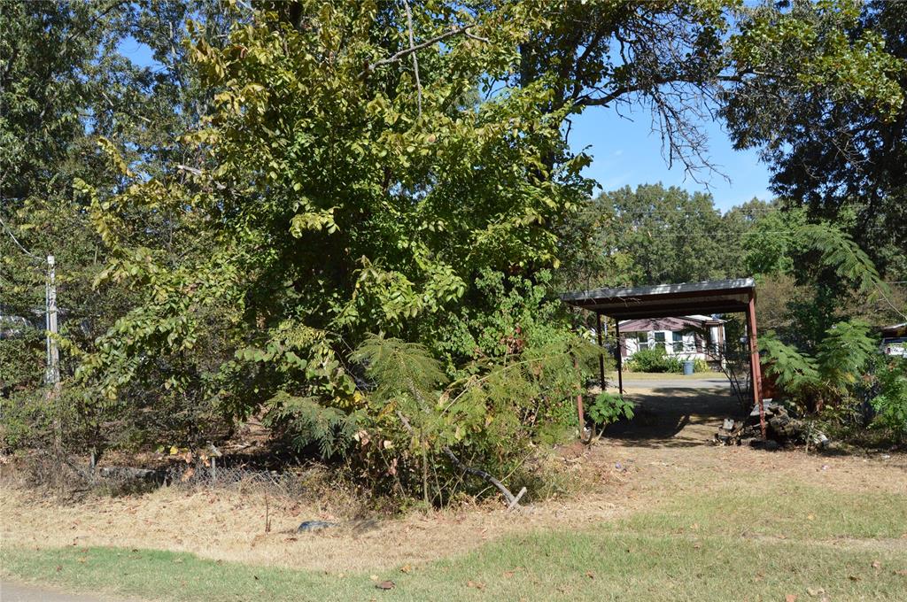 Steamboat Shores #1 - Land