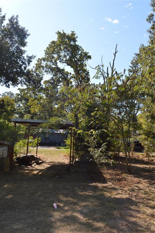 Steamboat Shores #1 - Land