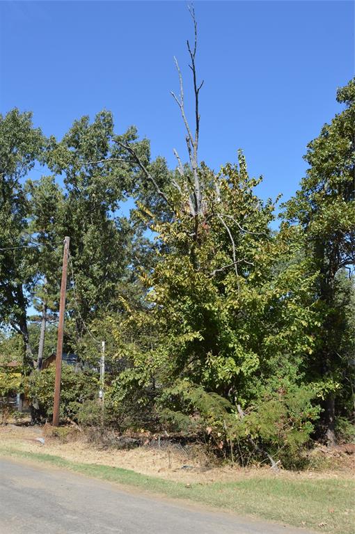 Steamboat Shores #1 - Land