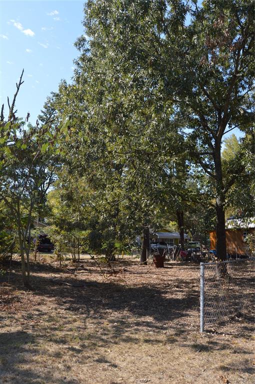 Steamboat Shores #1 - Land