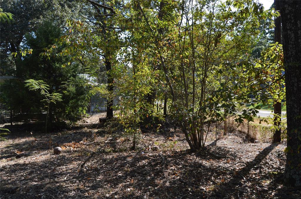 Steamboat Shores #1 - Land