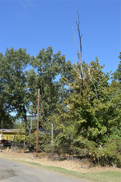 Steamboat Shores #1 - Land