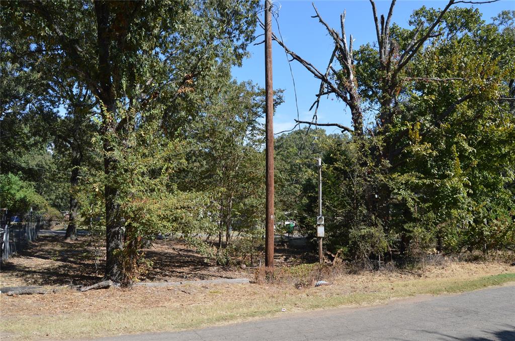 Steamboat Shores #1 - Land