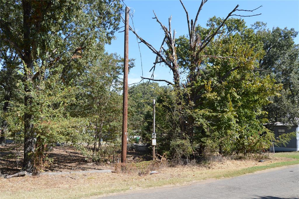 Steamboat Shores #1 - Land