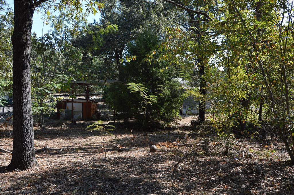 Steamboat Shores #1 - Land