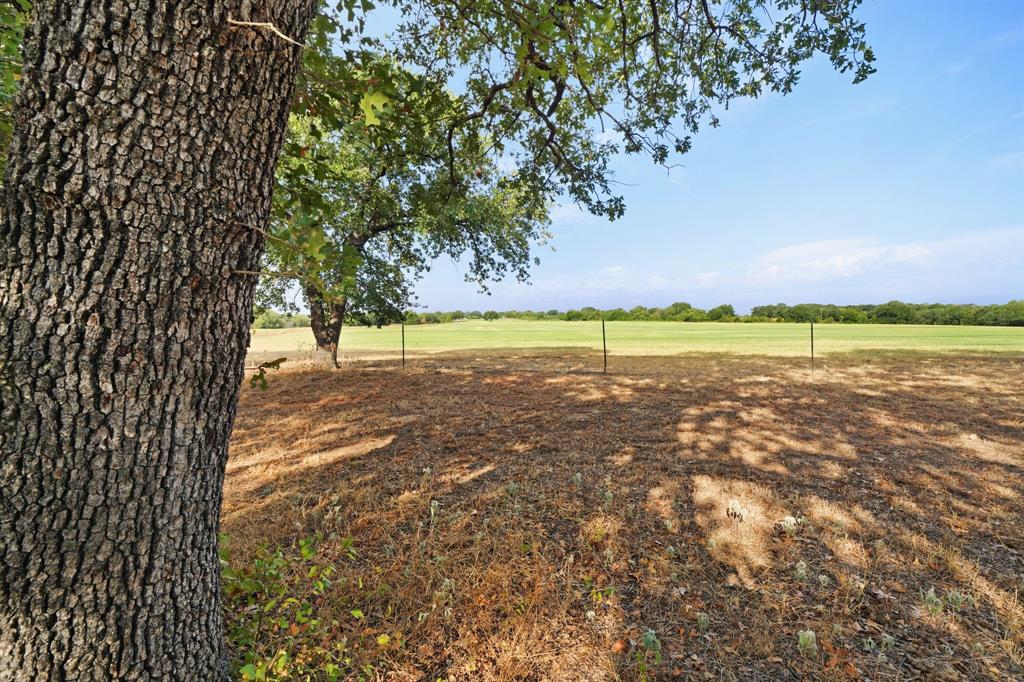 Abst: 533, Survey: GORMAN A J, TR:, BLK:, SURV: A - Farm