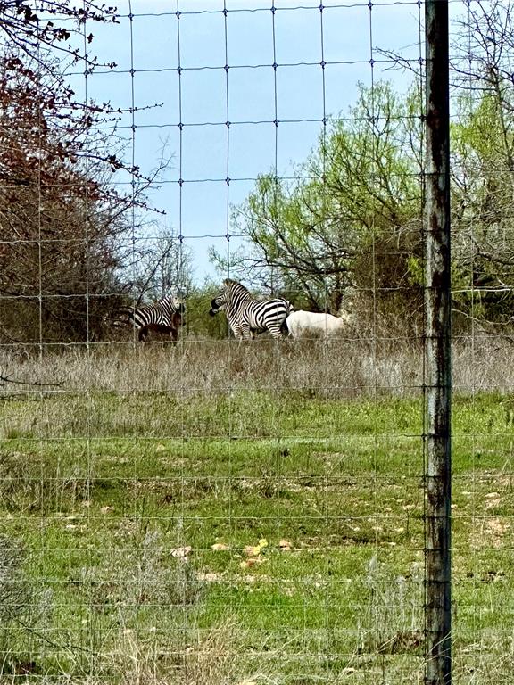 Block F 7-R Ranch Ph 2 - Land