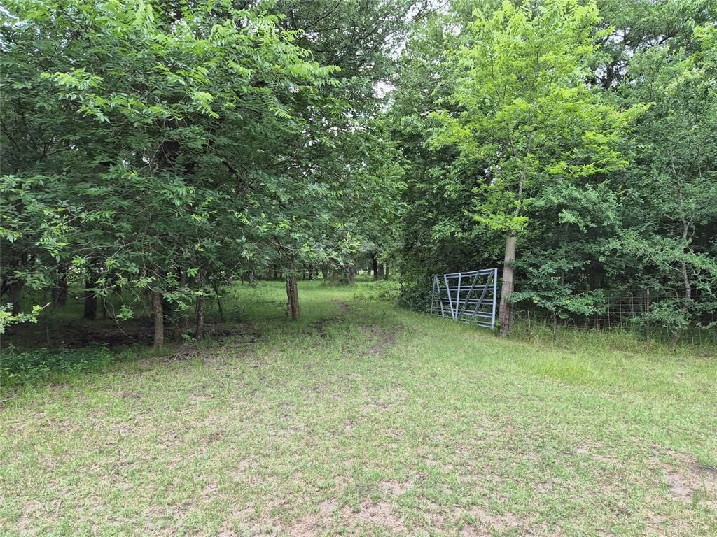 Photo of TBD Count Road 1020 DR, Wolfe City, TX 75496 (MLS # 21280019)