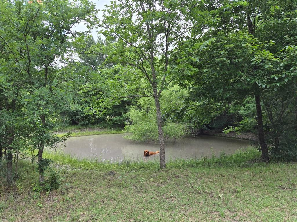 TBD Count Road 1020