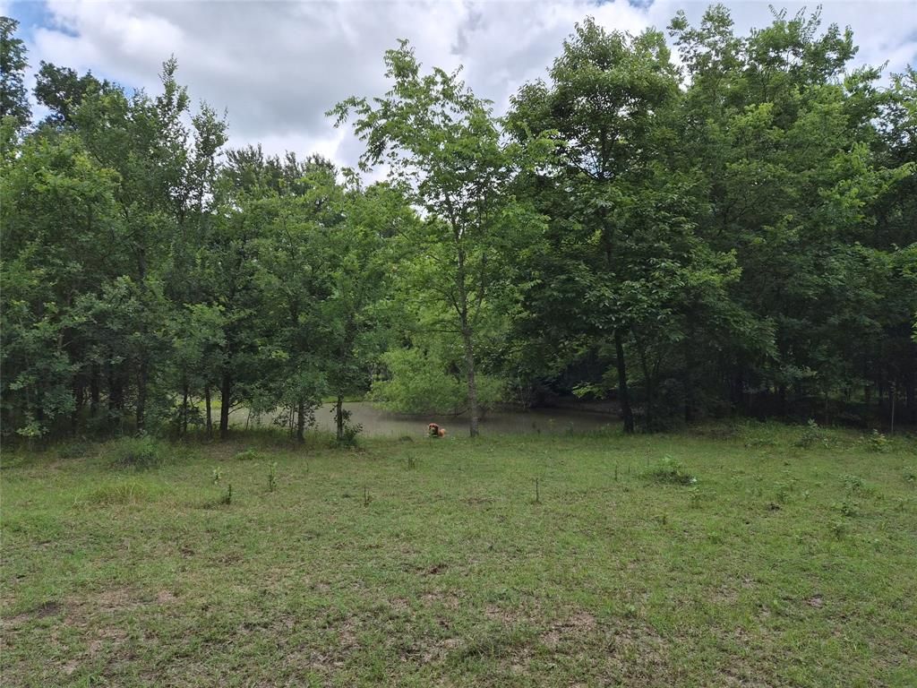 Photo of TBD Count Road 1020 DR, Wolfe City, TX 75496 (MLS # 21280019)