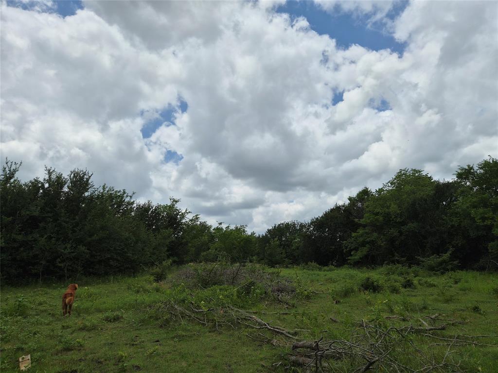 TBD Count Road 1020
