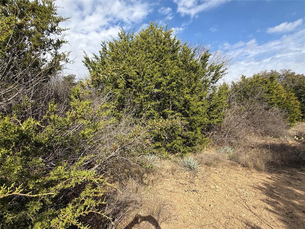 WILLIAM H IRIONS, SURVEY 52, ABSTRACT 537, ACRES 1 - Land