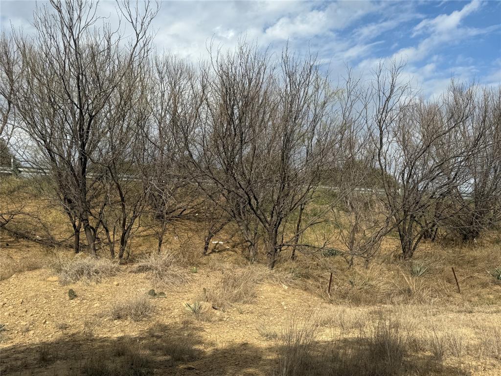 WILLIAM H IRIONS, SURVEY 52, ABSTRACT 537, ACRES 1 - Land