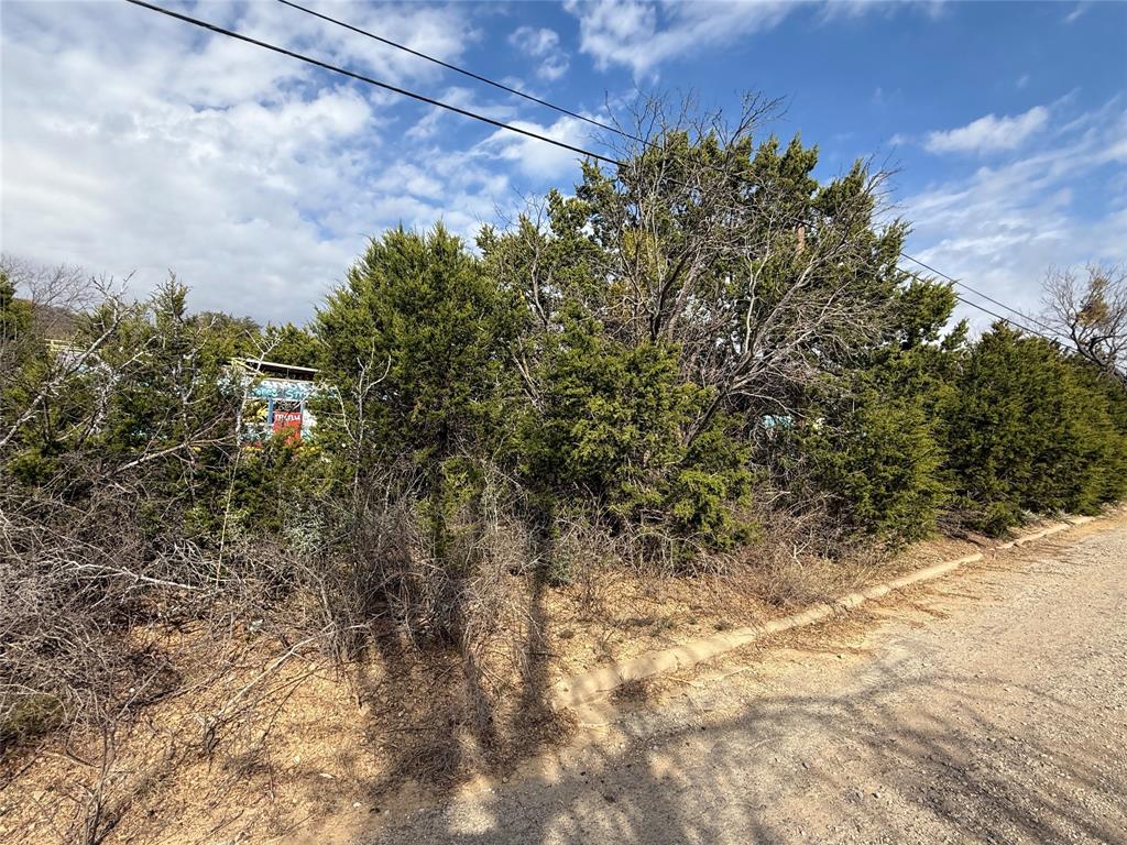 WILLIAM H IRIONS, SURVEY 52, ABSTRACT 537, ACRES 1 - Land