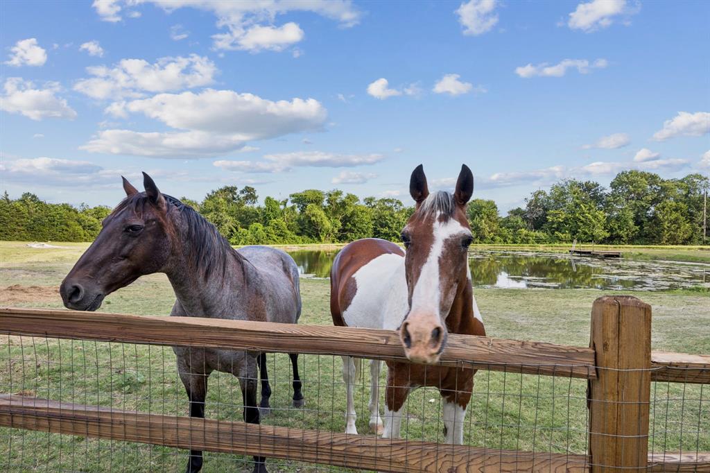 MCKINNEY ISD RURAL - Residential