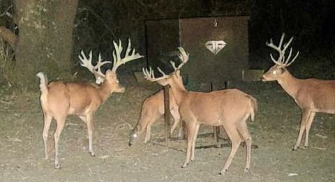 Photo of TBD Ccounty Road 135, Sidney, TX 76857 (MLS # 21055181)