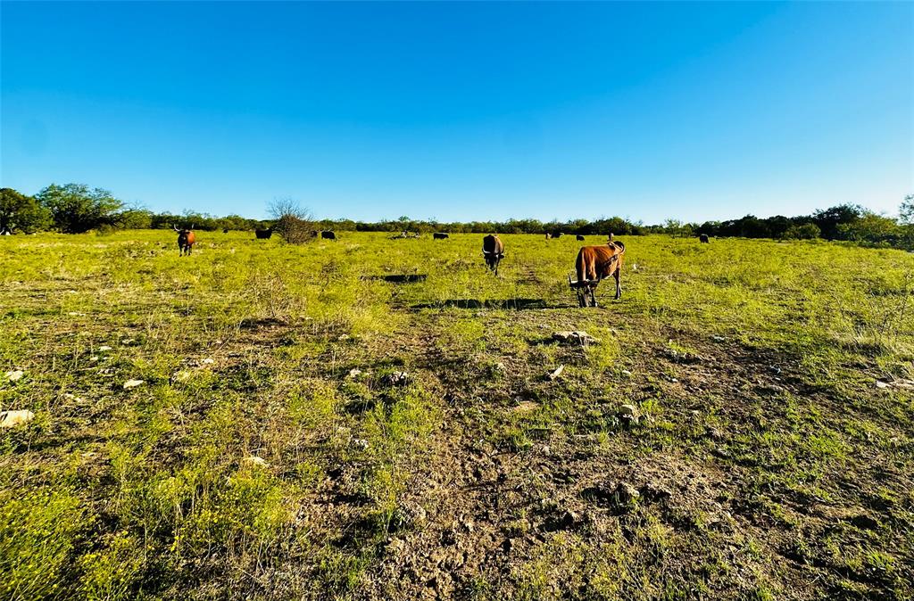 AB 451 TR 1-1 TE&L CO 875 - Land