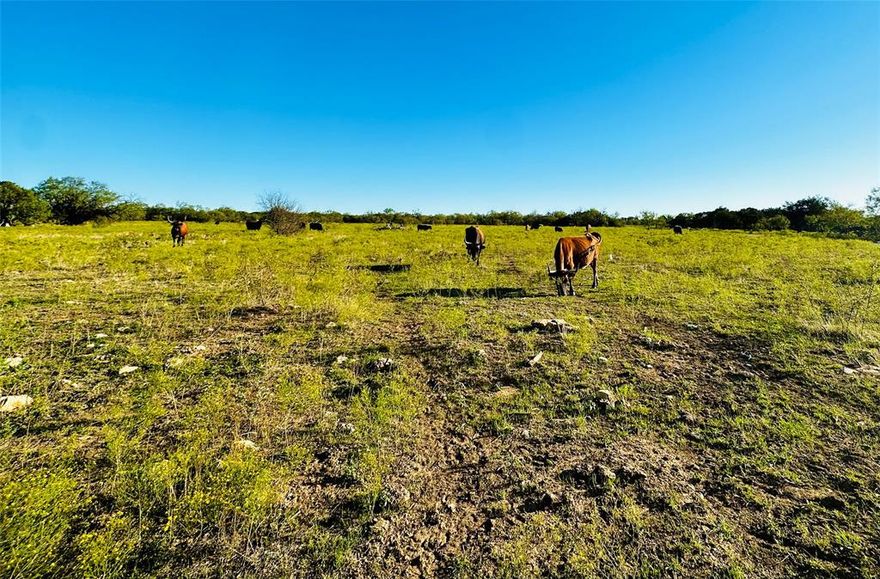 Ready to relocate out of the city? This is the perfect spot! Up to 12 acres in Graford close to Possum Kingdom Lake! This property will make a nice homesite for those looking to get away from the hustle and bustle of DFW. The property has abundance of scattered trees and pasture areas with road frontage along State Highway 254. Minimal deed restrictions to prevent commercial usage or development. If you are seeking to buy land in North Central Texas, this is it! Contact us today to inquire about this property. VETERANS! You may be able to purchase this land with a 5% down-payment through the Texas Veteran's Land Board. Additional Acreage available to purchase. Please contact us for more information. All acreages and boundary lines shown on media are approximate and subject to final survey.