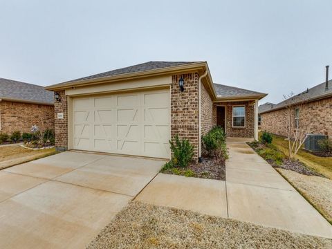 A home in Little Elm