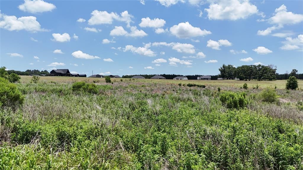 LOT 7 CR 4507 - Photo 2