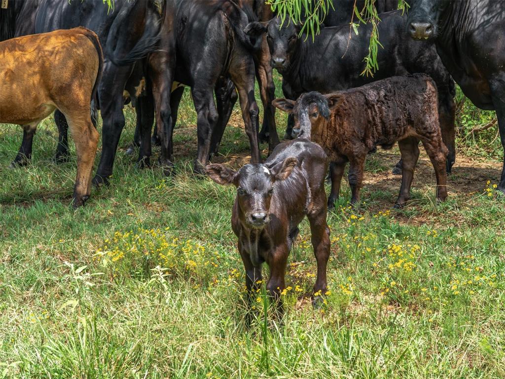 See Exhibit 'A' - Farm