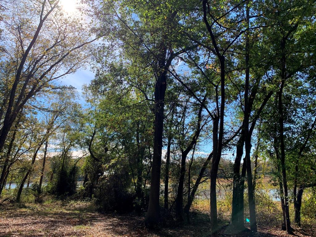 Lakeside Estate - Land