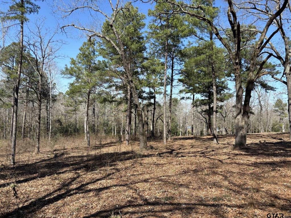 Lakeside Estate - Land