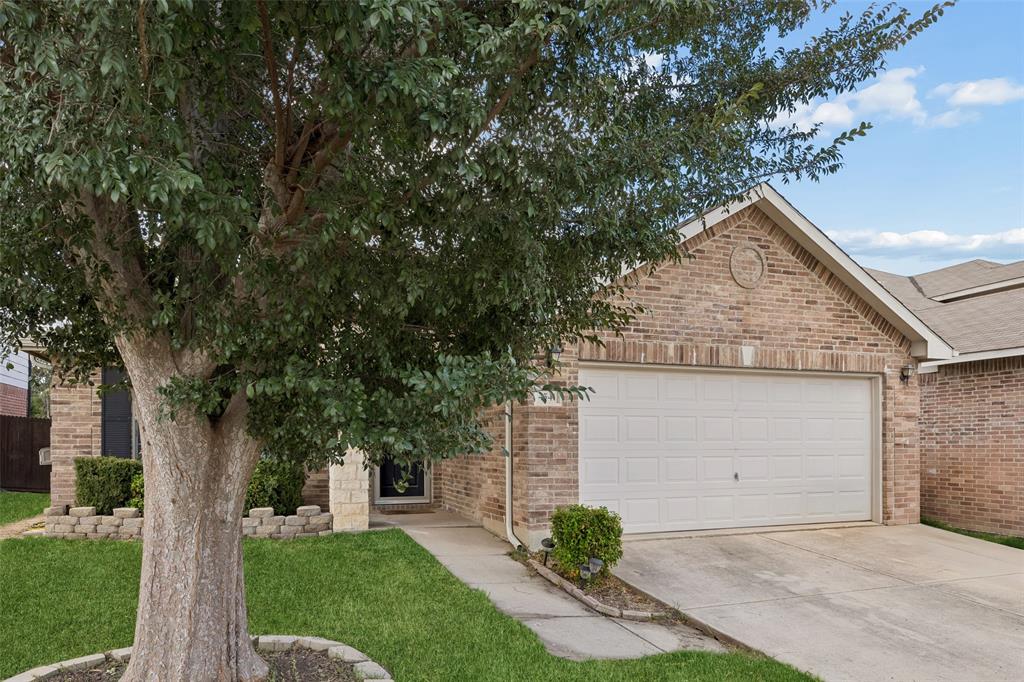 4541 Lacebark Lane