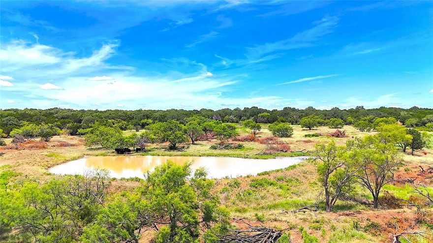 UNRESTRICTED 13 ACRE TRACT OF LAND IN THE HEART OF HORSE COUNTRY! This 13 acre tract of land sits on a level lot with coastal bermudagrass and sandy loam soils making it ideal for your home build and equine athletes! This tract has a water meter already in place as well as a stock pond for watering livestock and fishing. Just a short drive to historic Mineral Wells where you can find shopping and dinning! Only 1 hour West of Downtown Fort Worth!