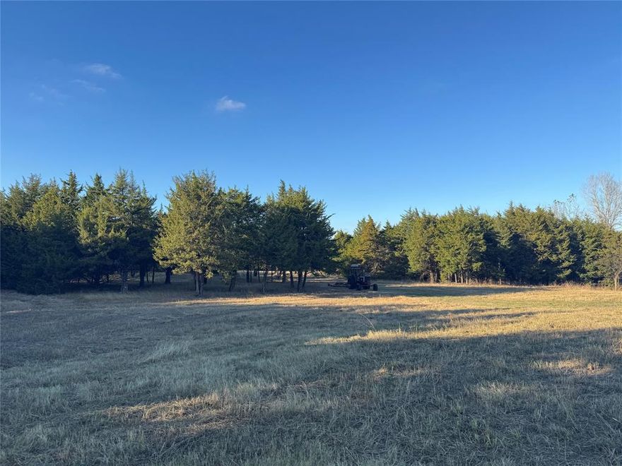 This  beautiful 37.50 Acres filled with majestic Oak and Cedar trees, with a rare blend of privacy, views which offers a  Texas natural beauty and privacy quite paradise. This tract is partially fenced, features a large  majestic Oak and Cedar trees, creating an ideal setting for a secluded country home, recreational retreat, or working farm and providing natural beauty and privacy.
Located less than a mile from Hwy 82 and in close proximity to Lake Bois D'Arc Lake and the upcoming Lake Ralph Hall development, this property offers unmatched convenience while maintaining the peaceful feel of rural living. With rolling terrain, mature shade trees, and multiple picturesque  views  overlooking the large point, this land is ready for your vision and Excellent natural elevation.
Whether you're looking to build your dream home, run cattle or horses, enjoy weekend recreation, or invest in a rapidly growing area near major North Texas lakes, this property checks every box.
Don’t miss this exceptional opportunity to own a stunning piece of Texas countryside
