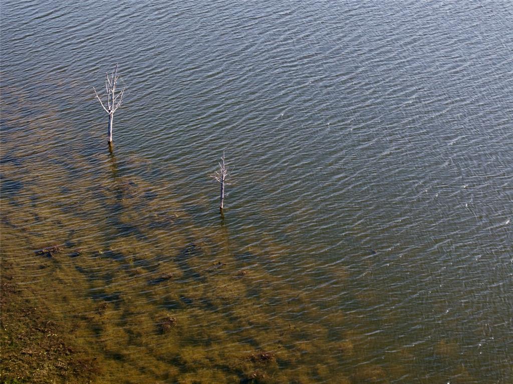 AB 710 TR 1C T&PRR CO #35 (1,2,3,5,7) - Farm