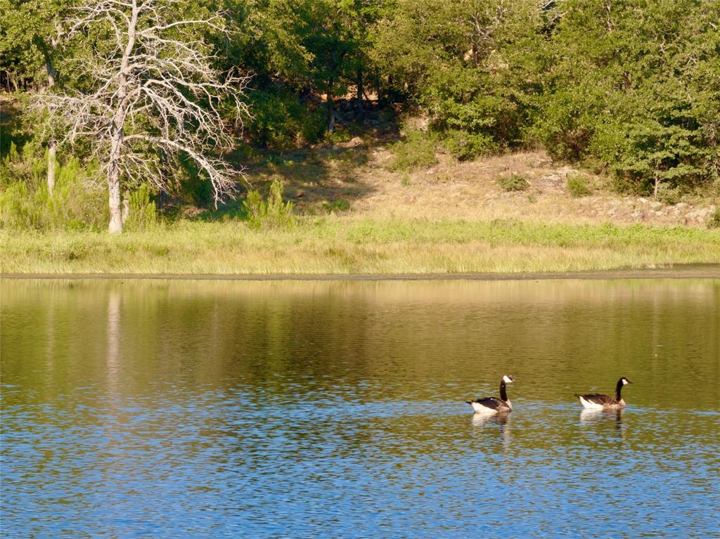 AB 710 TR 1C T&PRR CO #35 (1,2,3,5,7) - Farm