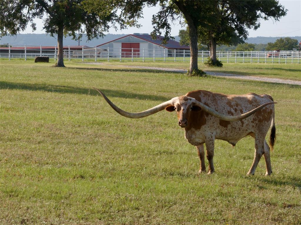 AB 710 TR 1C T&PRR CO #35 (1,2,3,5,7) - Farm