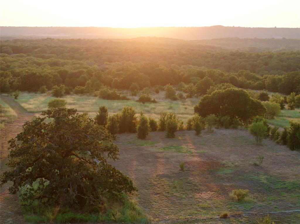 AB 710 TR 1C T&PRR CO #35 (1,2,3,5,7) - Farm