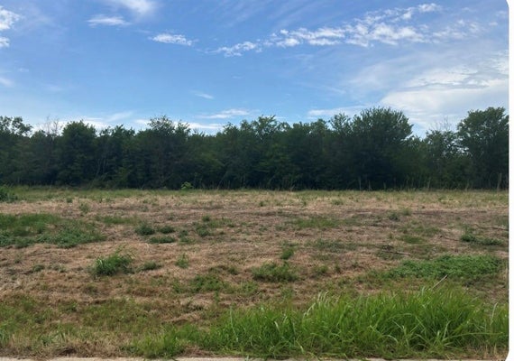 309 CREEKSIDE TRL, ARGYLE, TX 76226 - Image 3ffbe6cd4bb92688767abcb1132e62fe/1724499786