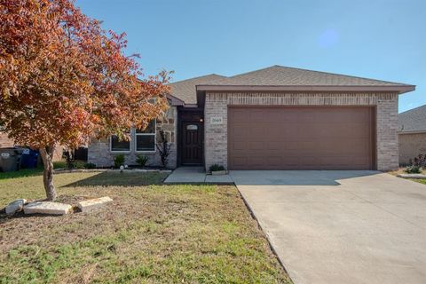 2049 Meadow View Drive Princeton TX 75407