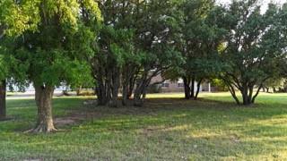 Shady Oaks Estates - Residential