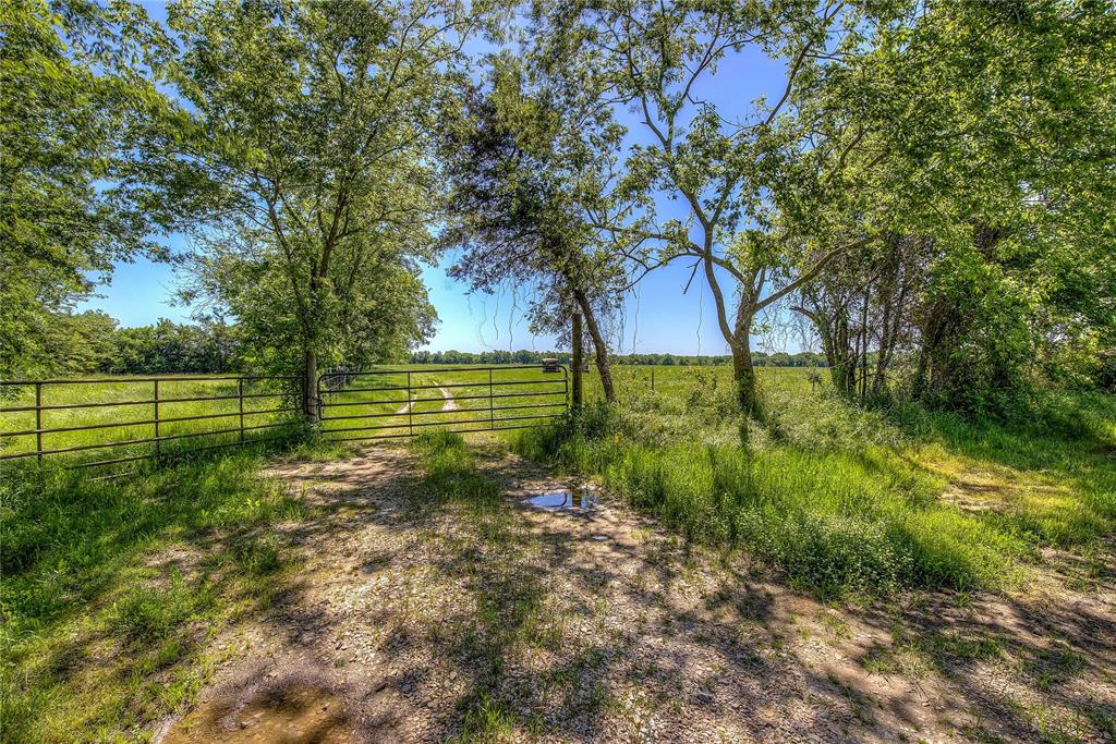 0000 County Road 3566