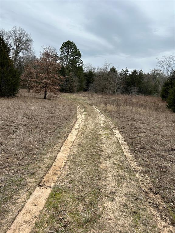 JUAN ESCULAN - Residential