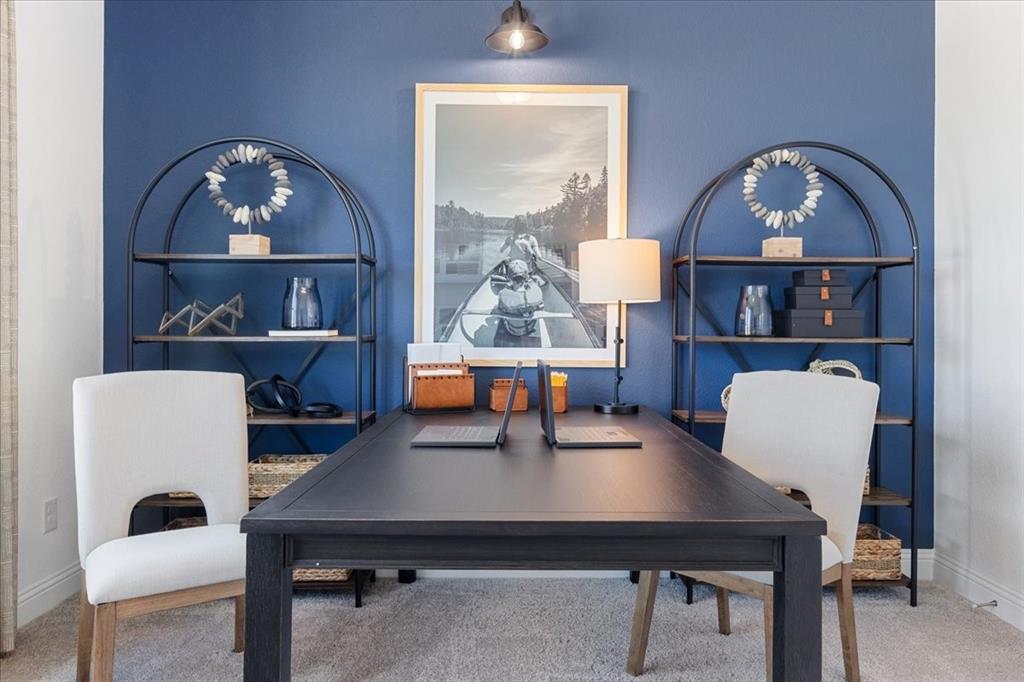 Palmilla Springs - Residential