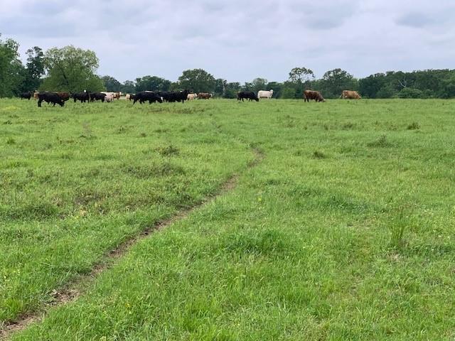 1846 Vz County Road 1605