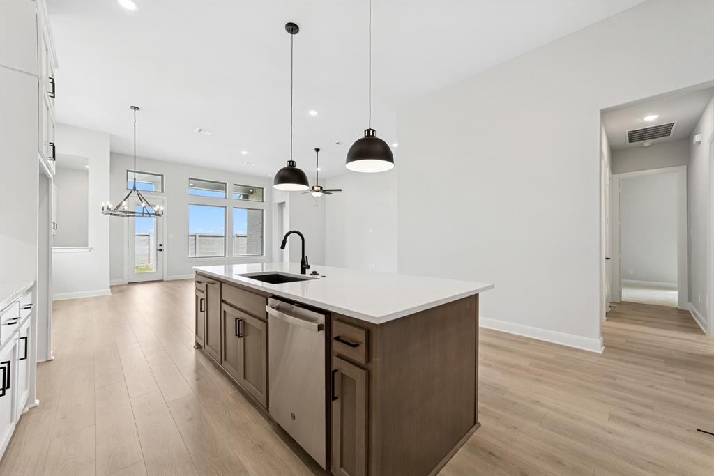 Painted Tree - Residential