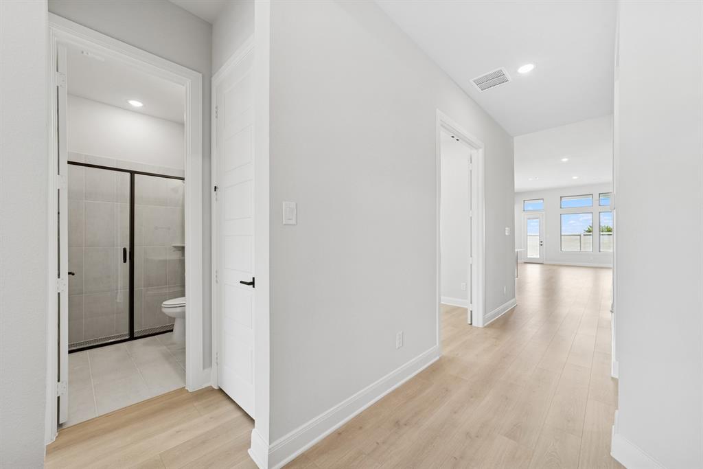 Painted Tree - Residential