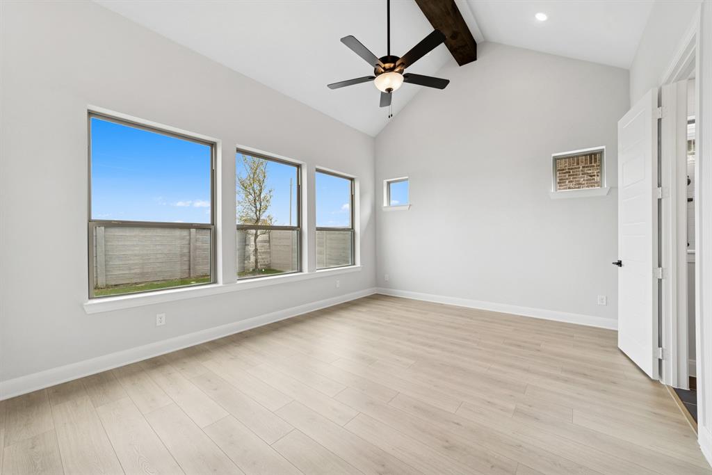 Painted Tree - Residential