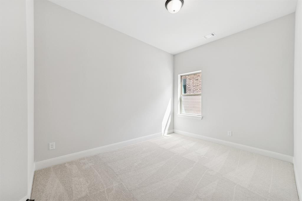 Painted Tree - Residential