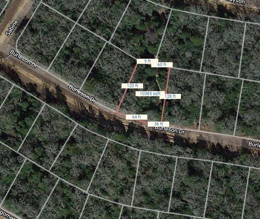 THIS IS THE VERY BEST COUNTY CLUB IN TEXAS for the money. Let me explain why: Hilltop Lakes is 2 hours' drive from Dallas, Houston & Austin in the Texas Triangle (Hill Country). It is a serene & friendly 4,400-acre resort with boundless amenities:18-hole golf course, airport, club restaurant, non-profit bar, Texas-shaped swimming pool, teen center, equestrian center, miniature golf course, tennis, Motel & Villas for rent, RV Park, for you & guests to use until you decide to build or just enjoy this incredible lifestyle, 5 fishing & boating lakes, post office, library, churches, bow hunting, meeting & wedding facilities, playground & picnic. Low property taxes. New EMS & Fire Dept. Over 12 clubs & organizations that cater to every personal & professional interest. Something for everyone: work at home, retirees, young families. ONLY $68 per month dues for all these amenities (the price on your internet!) Where can you find a better investment for your family! Map #156