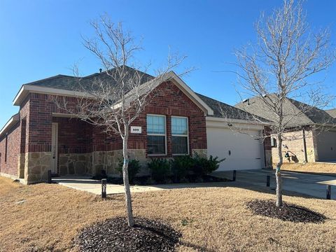 Photo of 509 Calm Springs Drive, Princeton, TX 75407 (MLS # 21178200)