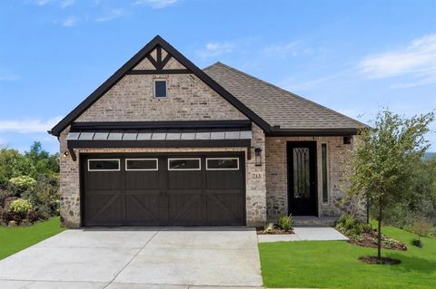 713 Wilderness Point Anna TX 75409