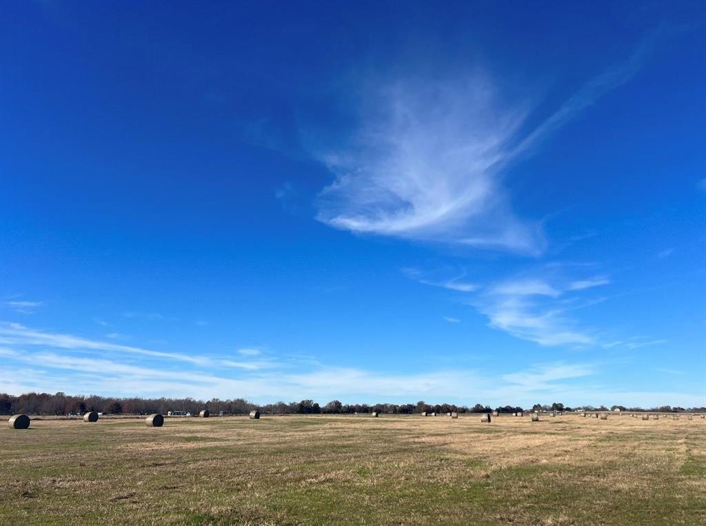 Acres 15.767, ABST: 137, SUR: T CAYCE - Land